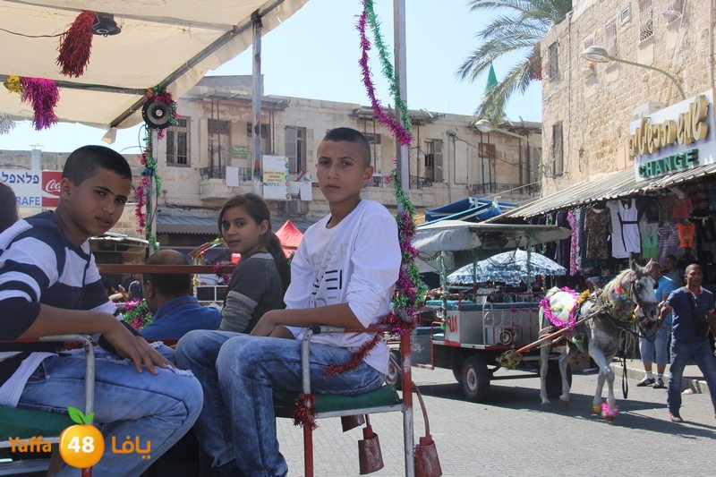 re7la ludj31 (5).JPG